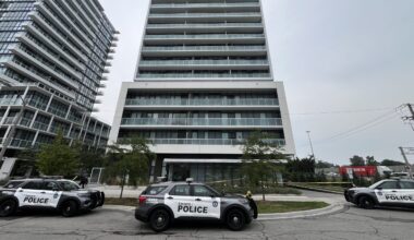 Woman killed in North York stabbing, male suspect at large
