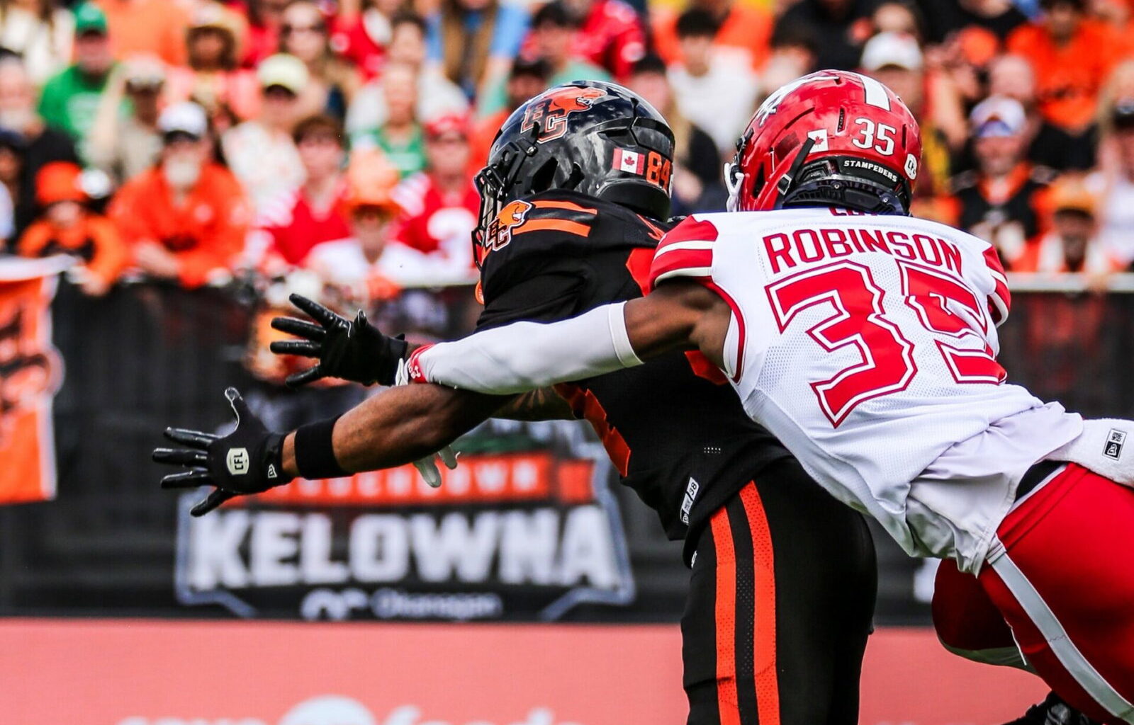 Calgary Stampeders release Dolani Robinson, sign one