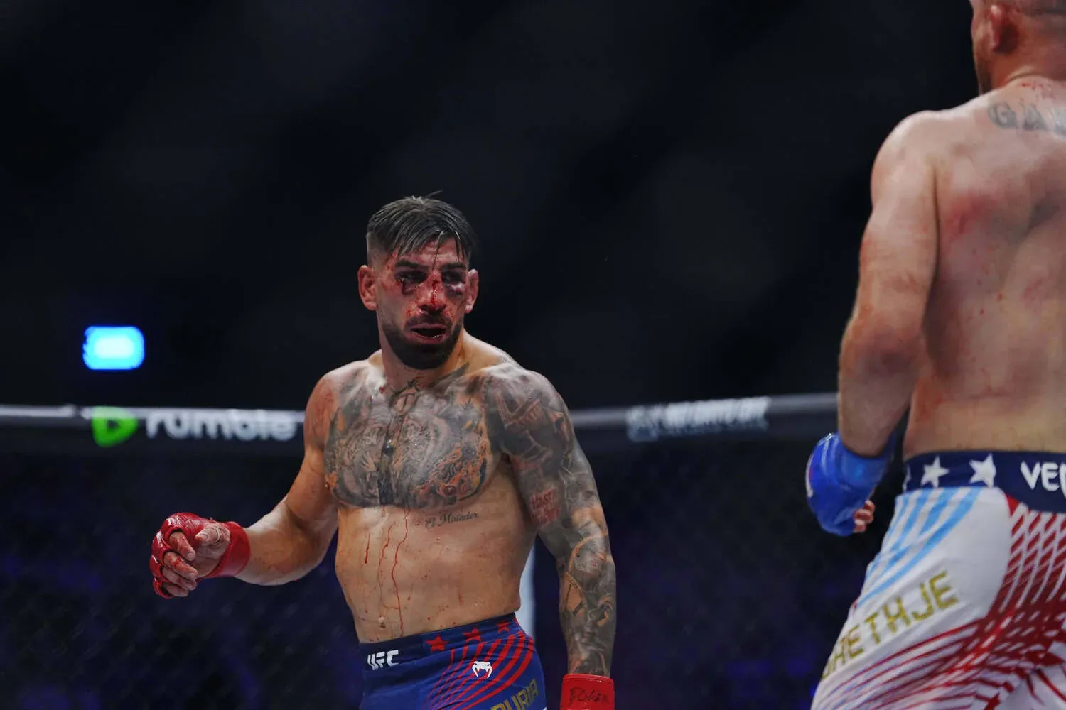 UFC Bantamweight Farid Basharat