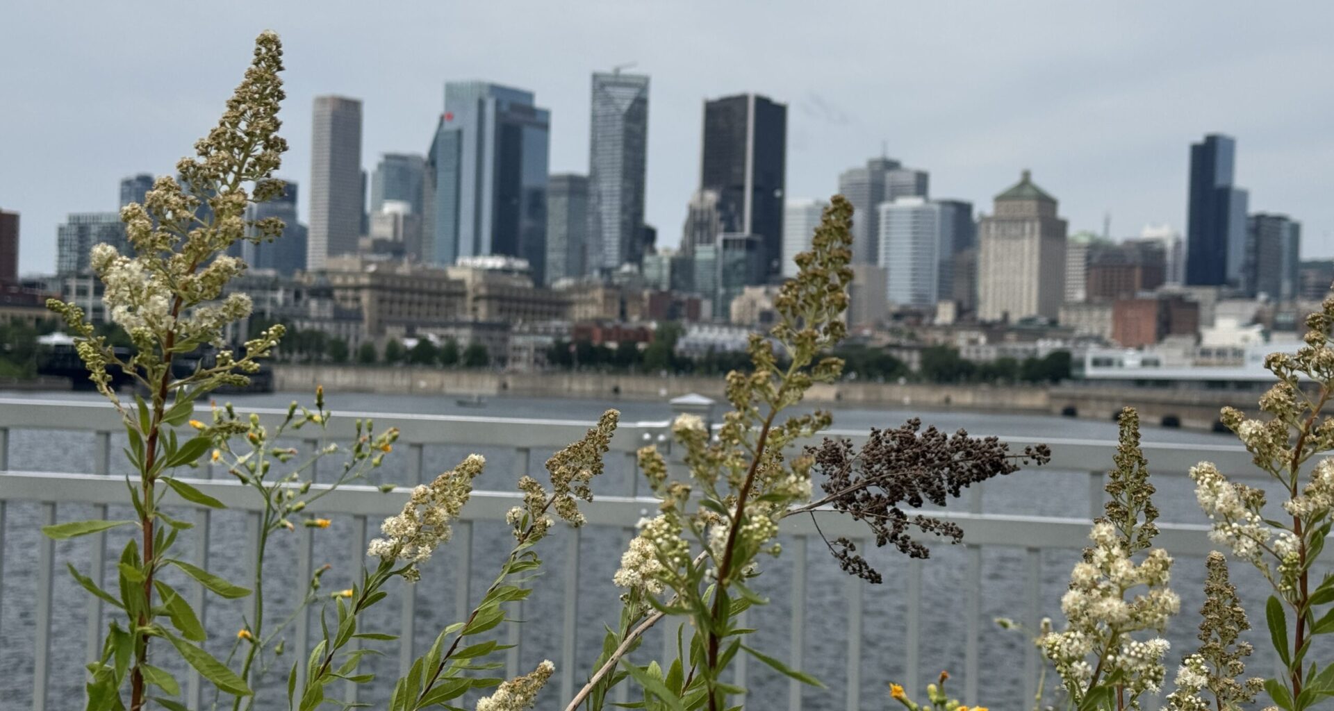 Hot and humid weather set to continue across Montreal through early week