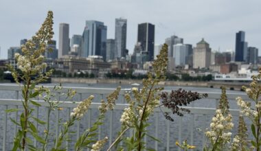Hot and humid weather set to continue across Montreal through early week