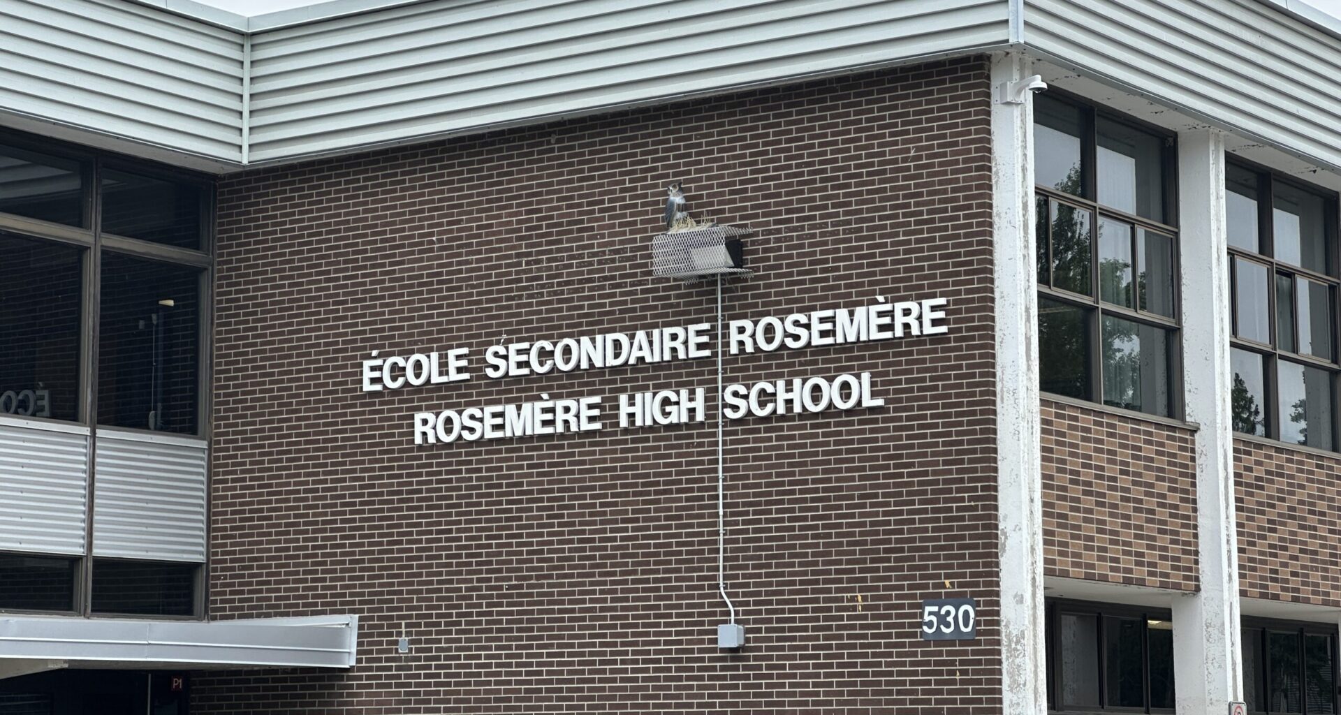 Application filed for class-action lawsuit against Montreal-area school board after privacy breach