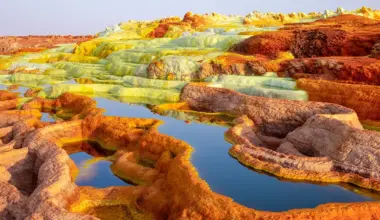 The Organisms That Make Earth’s Harshest Places Home