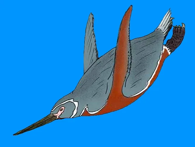Illustration of a Inkayacu diving