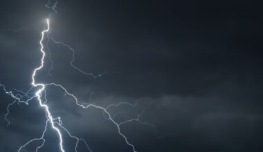Crews respond to fires caused by lightning during Saturday night storm - CTV News