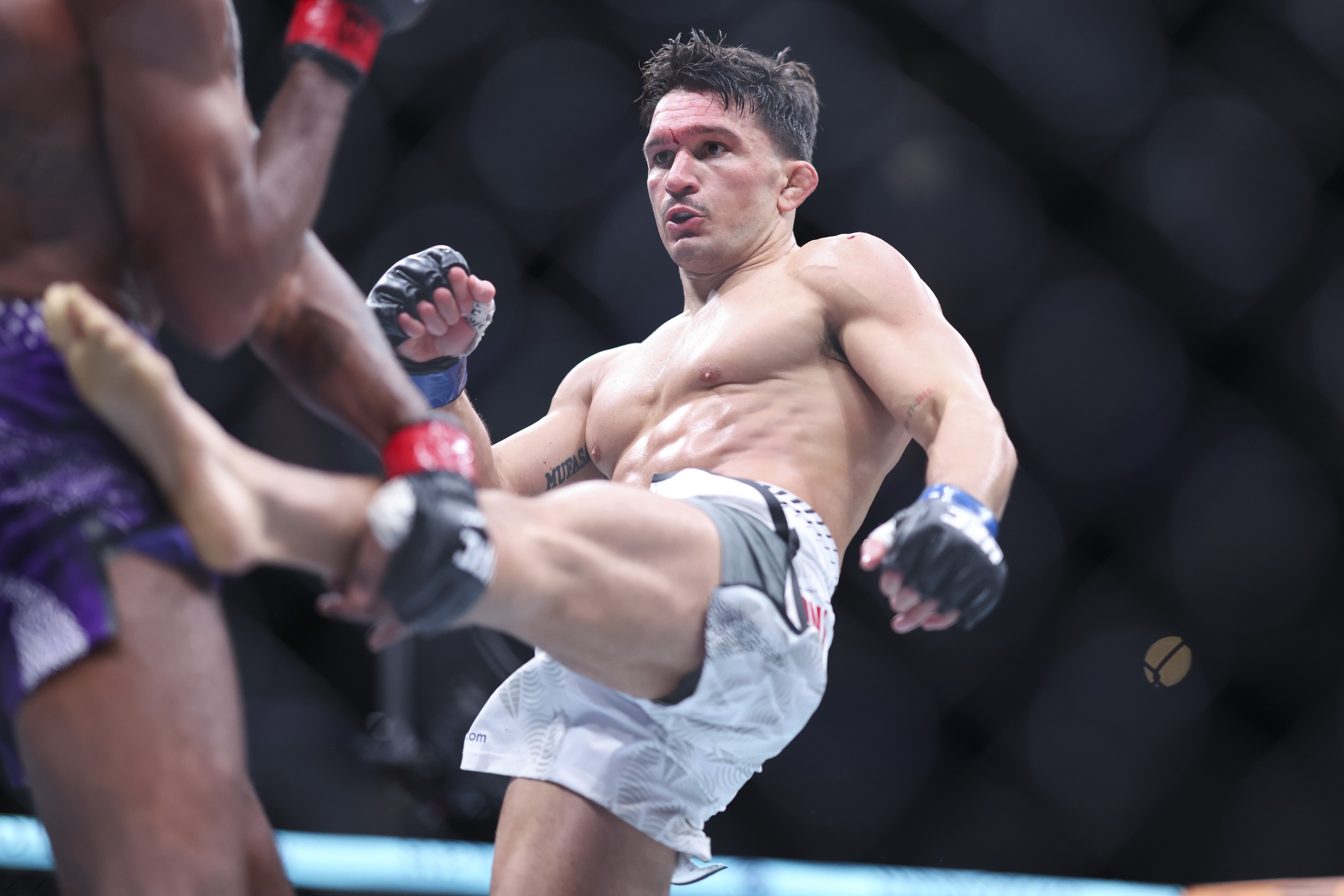 Lebosnoyani of the UFC Lebosnoyani of the UFC