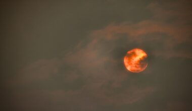 A bright orange sun is shrouded by wildfire smoke.