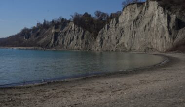 Toronto jet ski collision: Brampton man charged after lifeguard injured