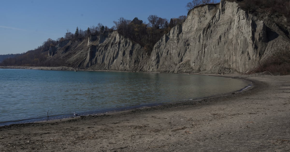 Toronto jet ski collision: Brampton man charged after lifeguard injured