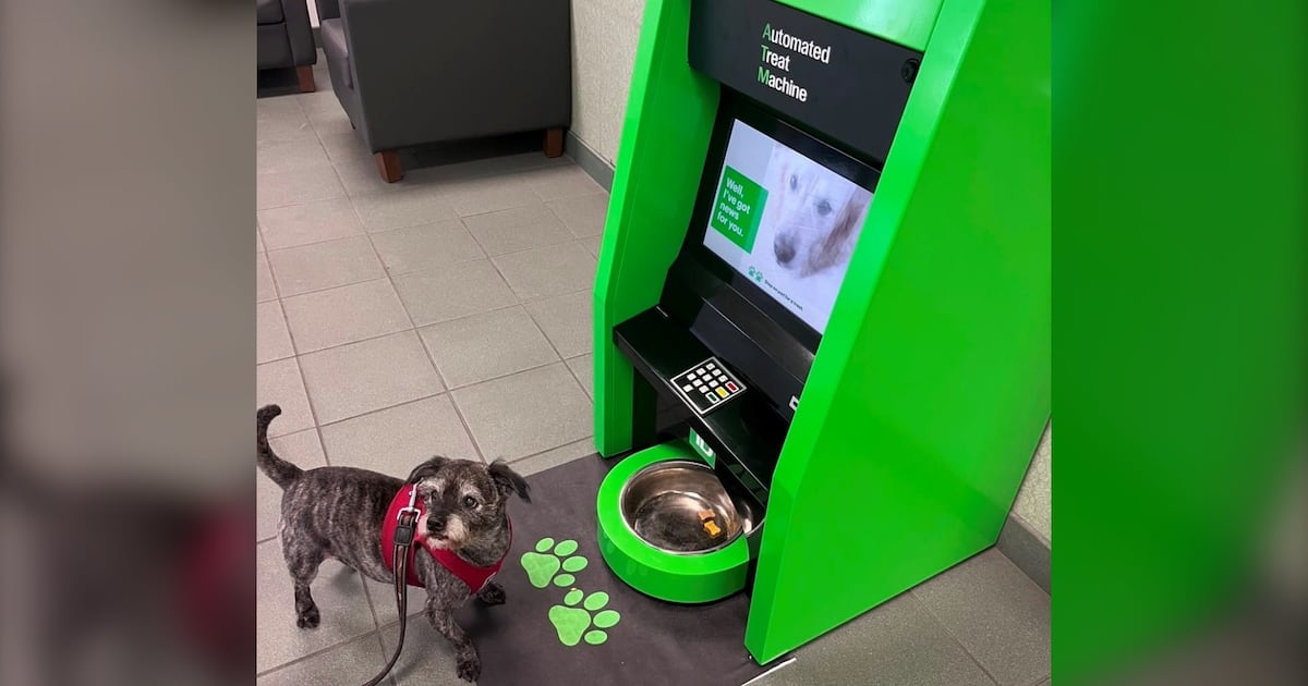 ‘No PIN required’: ATM for dogs in Vancouver’s West End