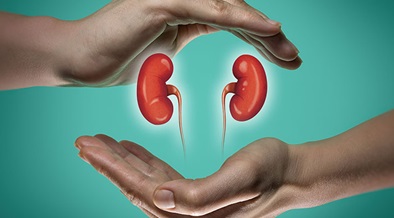 US FDA approves Vera Therapeutics' Trutakna as kidney disease drug