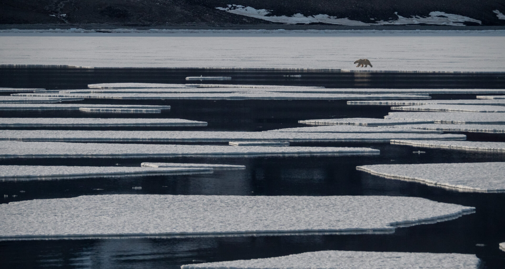 Arctic Sea Ice Day: 5 facts about an at-risk, valuable climate asset