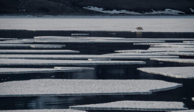 Arctic Sea Ice Day: 5 facts about an at-risk, valuable climate asset