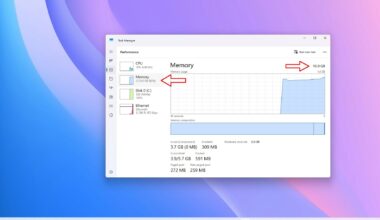Windows 11 desktop with the Task Manager open showing memory usage.