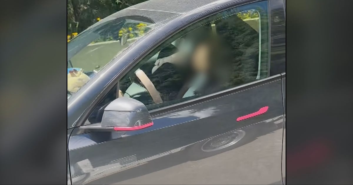 Video of Tesla driver seemingly asleep on B.C. highway prompts RCMP investigation - CTV News
