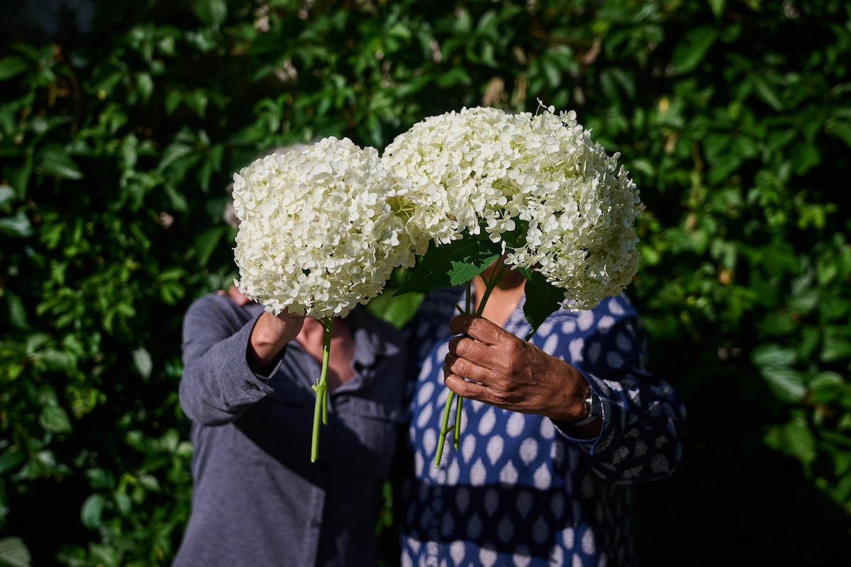 How should Faye, 68, and Ava, 60, draw down their RRSPs given their $108,000 spending target?