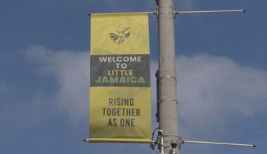 Sudden cancellation of Taste of Little Jamaica festival underscores ongoing business challenges in area