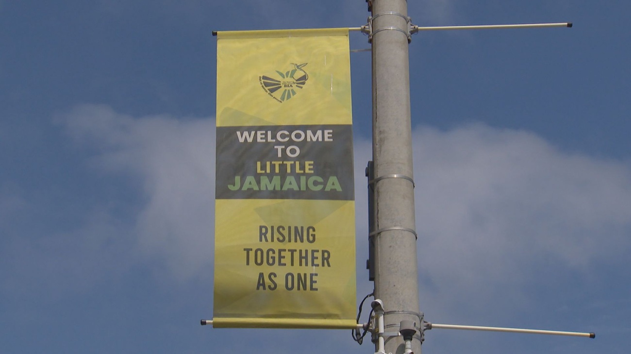 Sudden cancellation of Taste of Little Jamaica festival underscores ongoing business challenges in area