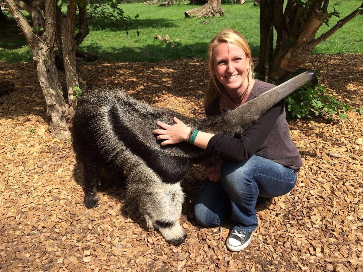 Lydia Möcklinghoff with a giant anteater. Shared via Facebook.