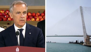 ‘I should have been clearer’: PM Carney on explaining details of Gordie Howe Bridge deal - CTV News
