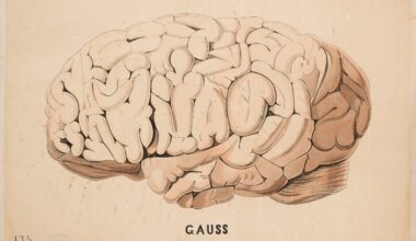 Science Journal: Human Brain Evolved “For No Particular Reason”