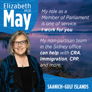 elizabeth may, constituency ad
