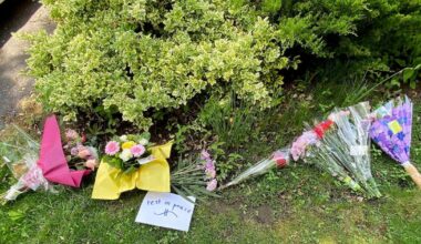 10-Year sentence sought for boy who killed Pickering senior