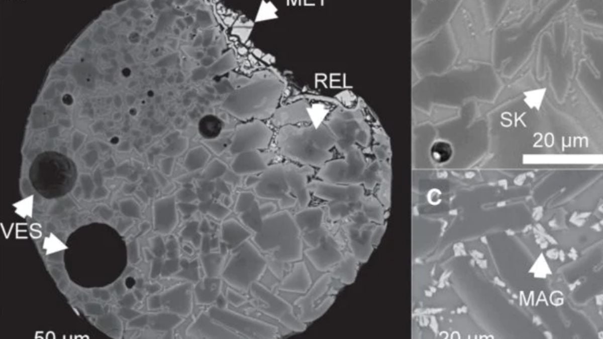 10% of Space Dust on Earth Traced Back to An Asteroid Nobody Has Ever Seen : ScienceAlert