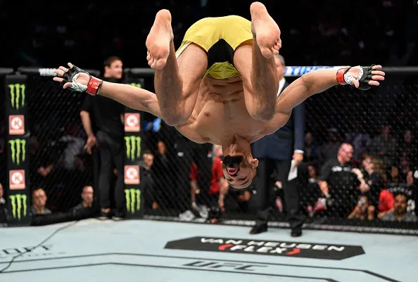Fabricio Werdum