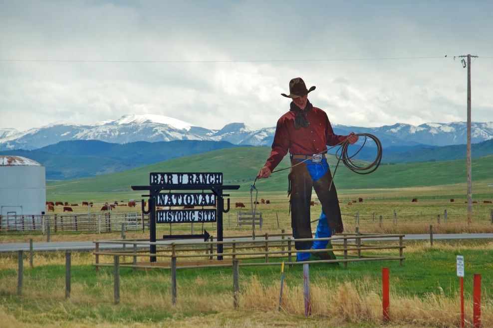 calgary summer experiences