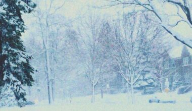 Montreal (Feeling it All) by Esteban Obando: Review