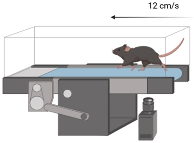 Mouse movement test