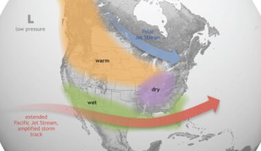 What to know about super El Nino and its impact on Canadian weather - CTV News