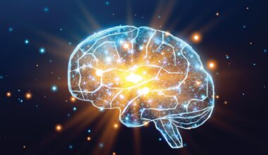 Neuroscience Exercise Dementia Brain Boost