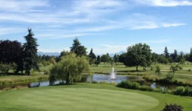 South Surrey golf course hosts fundraiser to move eagle, osprey nests