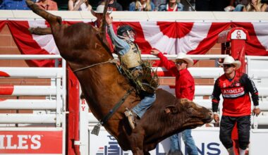 Texans dominate Calgary Stampede rodeo finals taking four of seven events