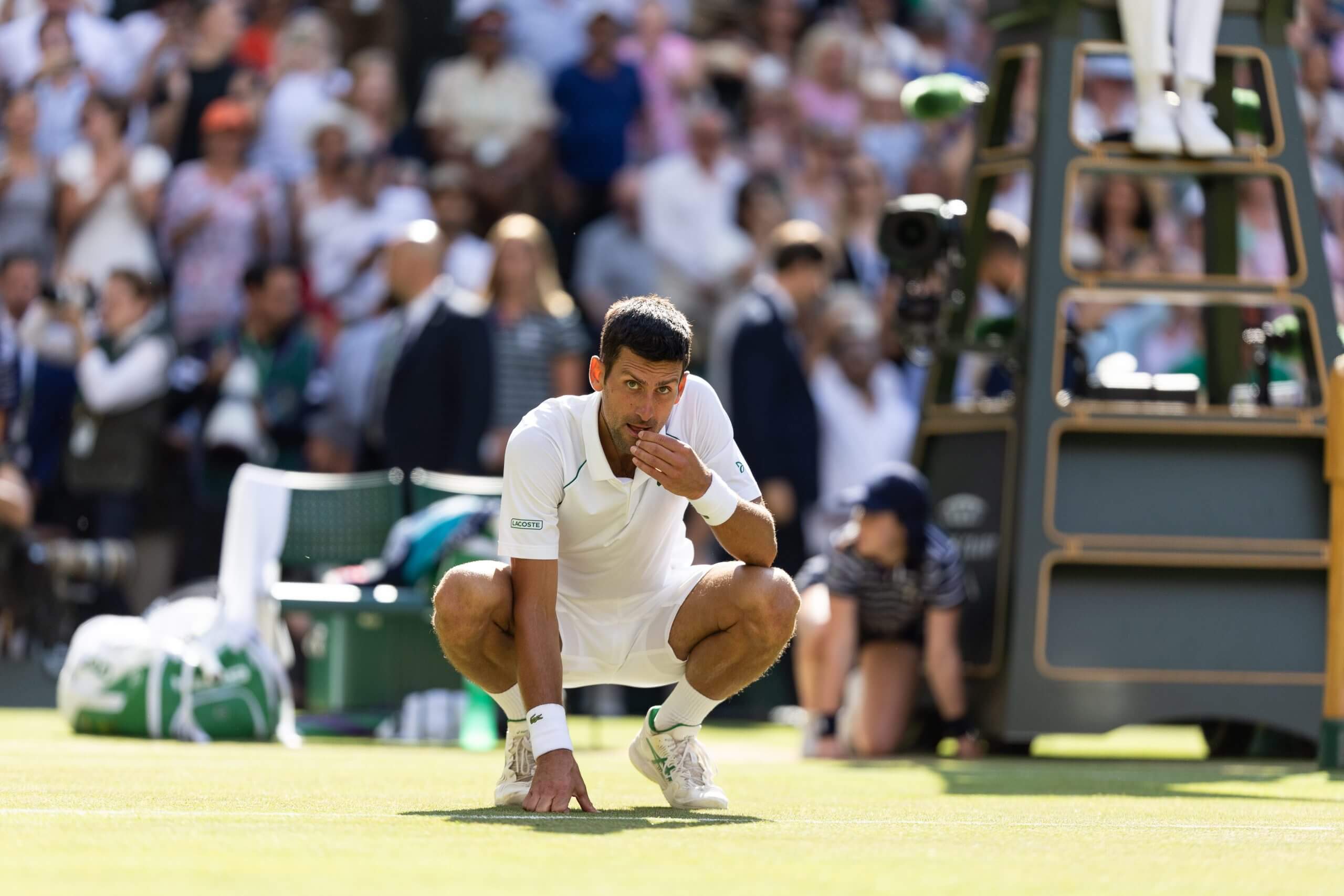 Novak Djokovic squats on the ground and eats some grass from a tennis court.