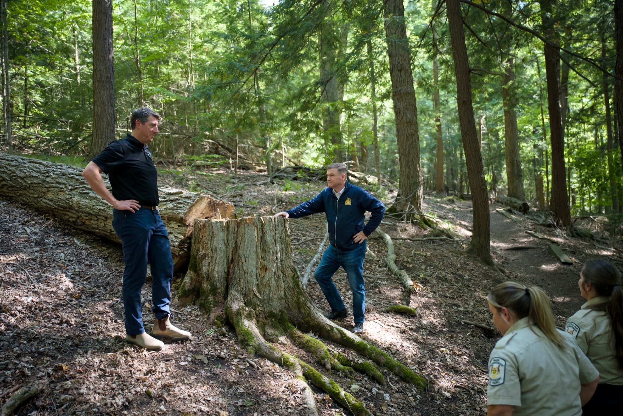 two men stand and lean against a large tree stump in the middle of a forest