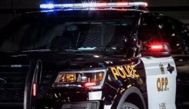 81-year-old mississauga man killed in collision on highway 427 in toronto.