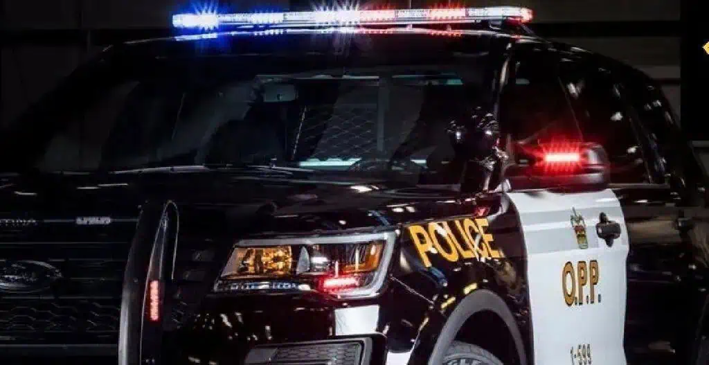 81-year-old mississauga man killed in collision on highway 427 in toronto.