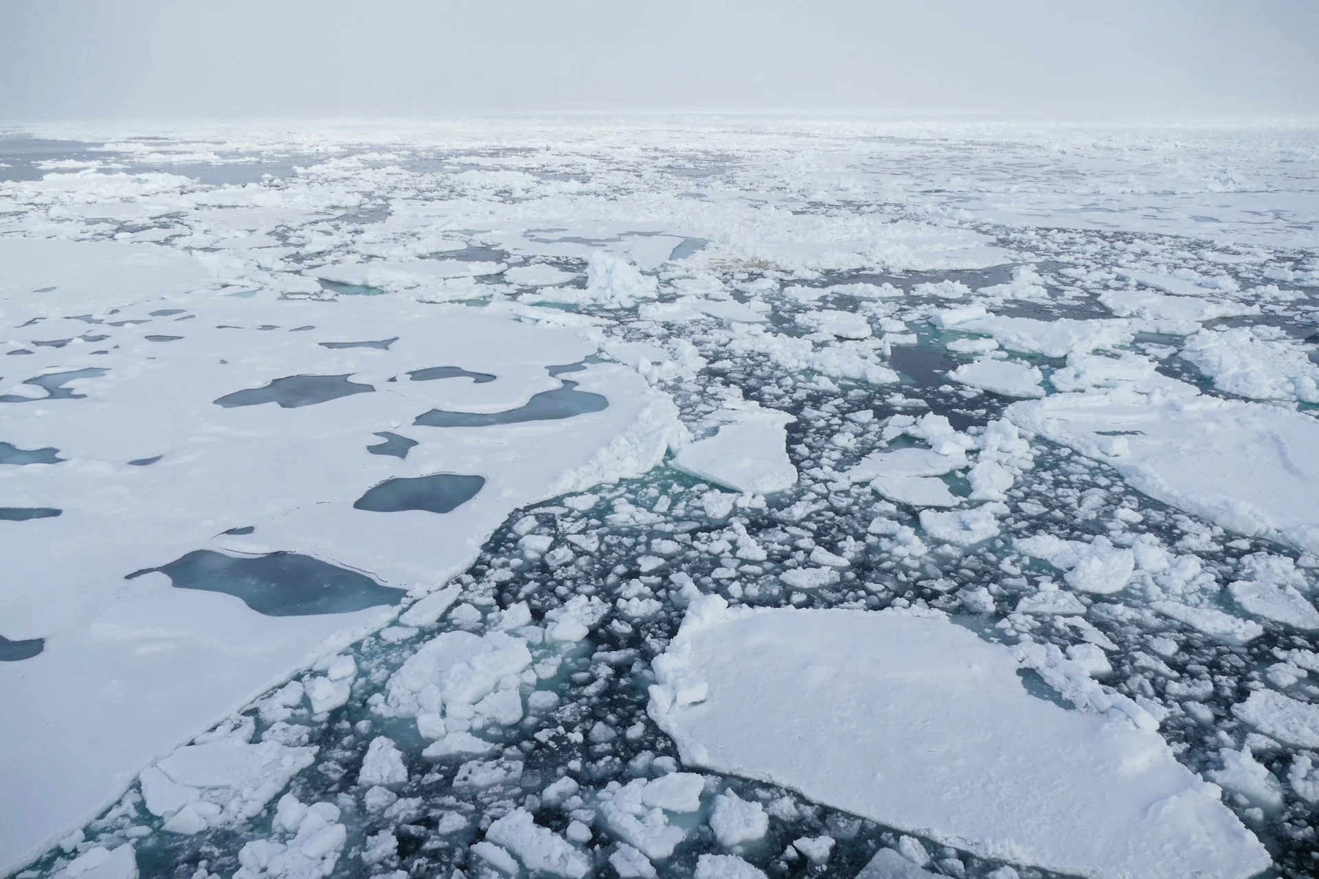 Arctic ice/Polar Bears International