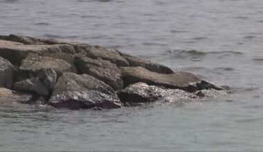 Boat crashes at Humber Bay Park, two seriously injured