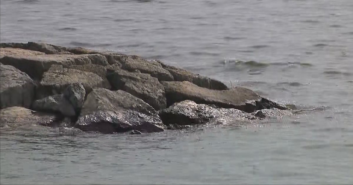 Boat crashes at Humber Bay Park, two seriously injured
