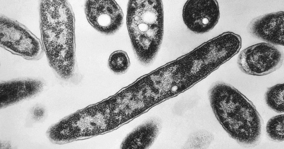 Legionnaires' outbreak: Met museum building tests positive