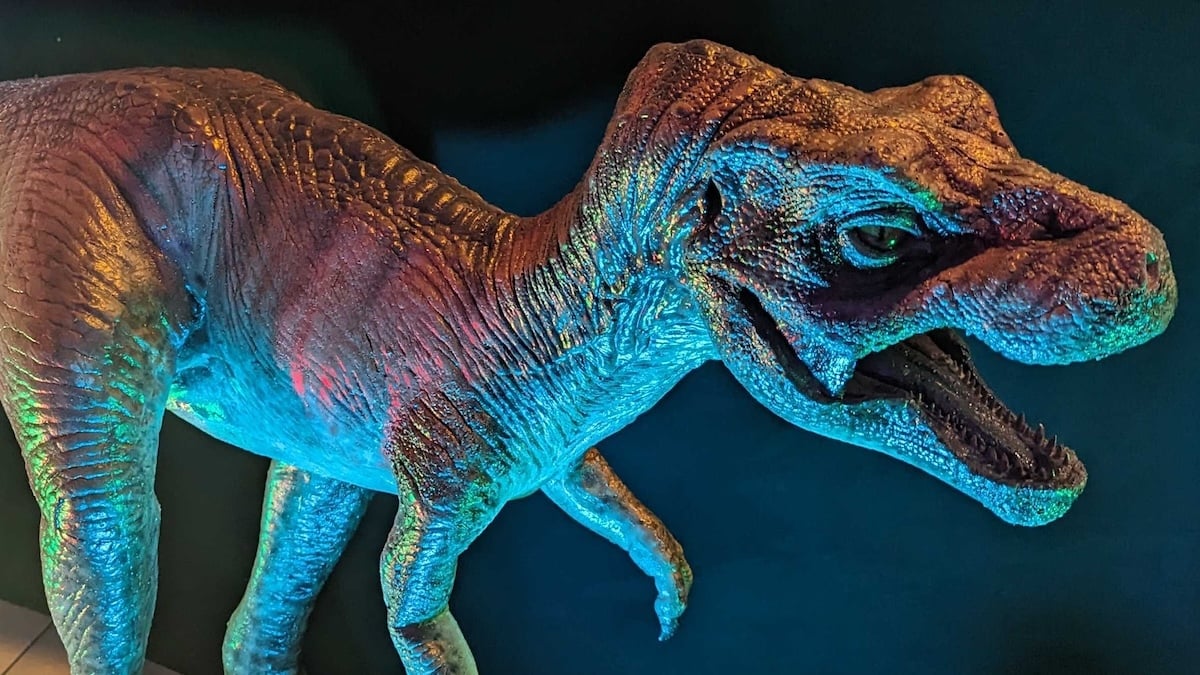 'Vanishingly Rare' Discovery: T. Rex Hatchlings Were Smaller Than a Cat And Born by The Dozen
