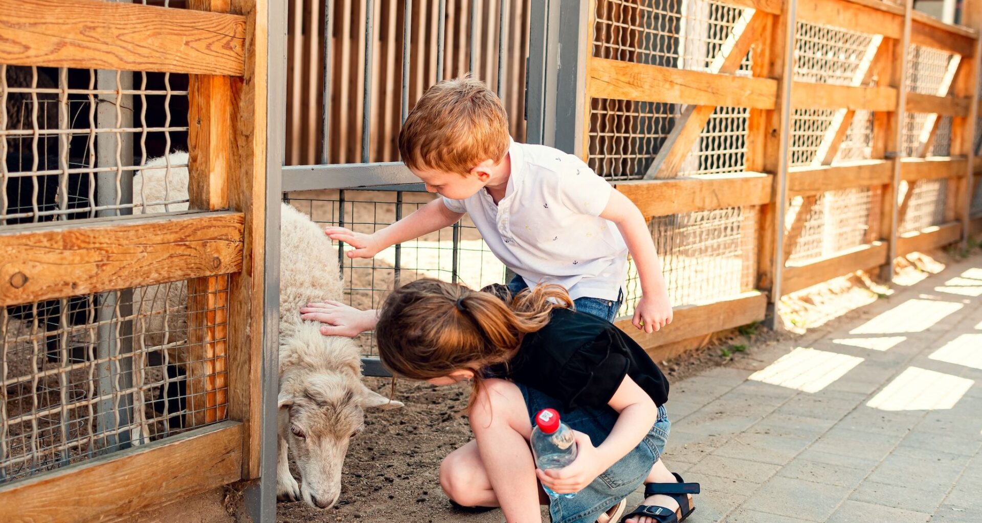 5 animal experiences to check out in Calgary this summer