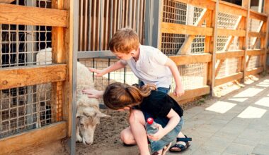 5 animal experiences to check out in Calgary this summer