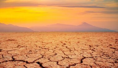Study suggests life on Earth has around 1.8 billion years left — but the biosphere might evolve to survive even longer