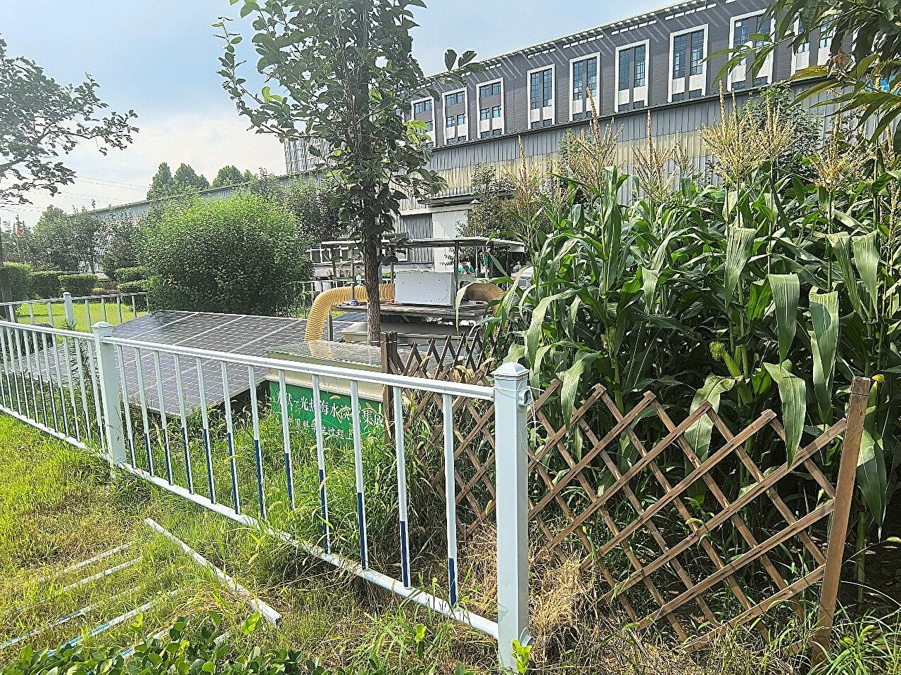Photovoltaic-photothermal seawater desalination equipment and irrigation test field