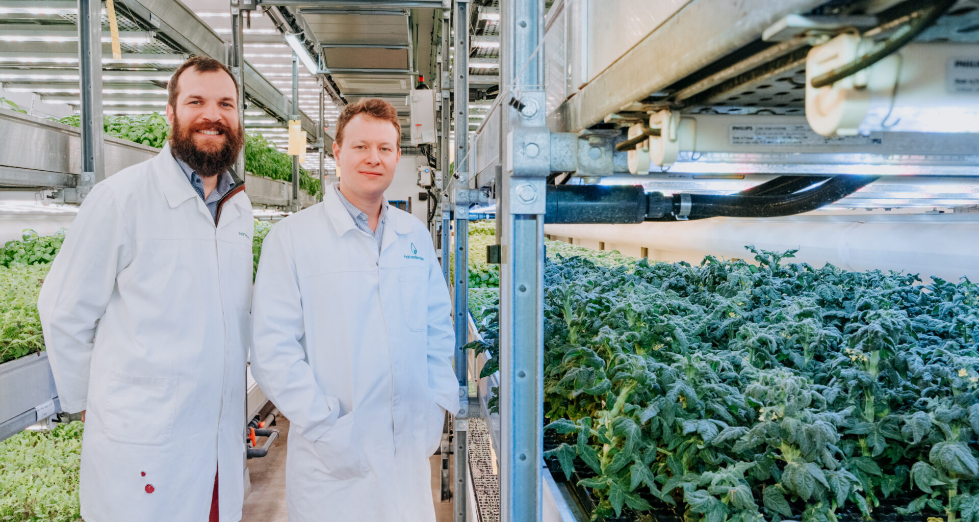 Phytoform & major seed breeders to improve corn genetics